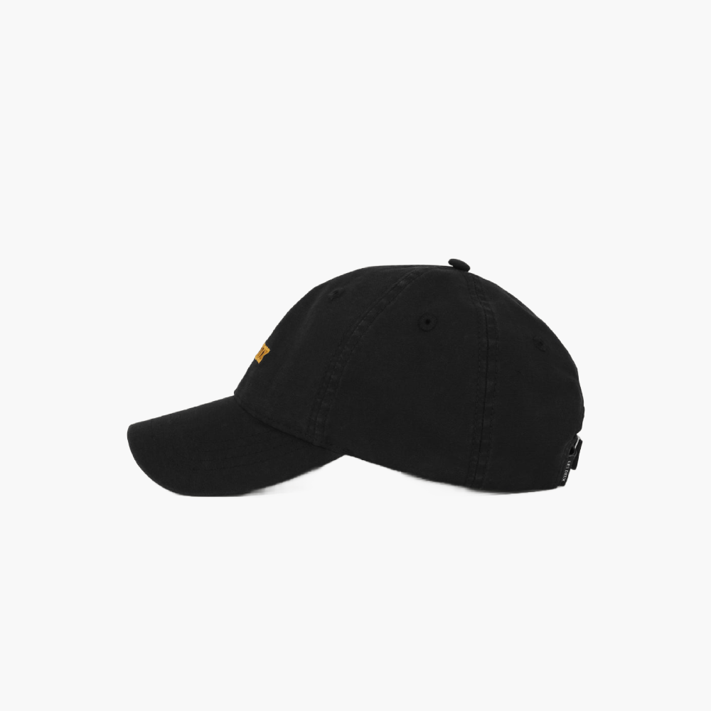 Casquette Mini Blake Dad